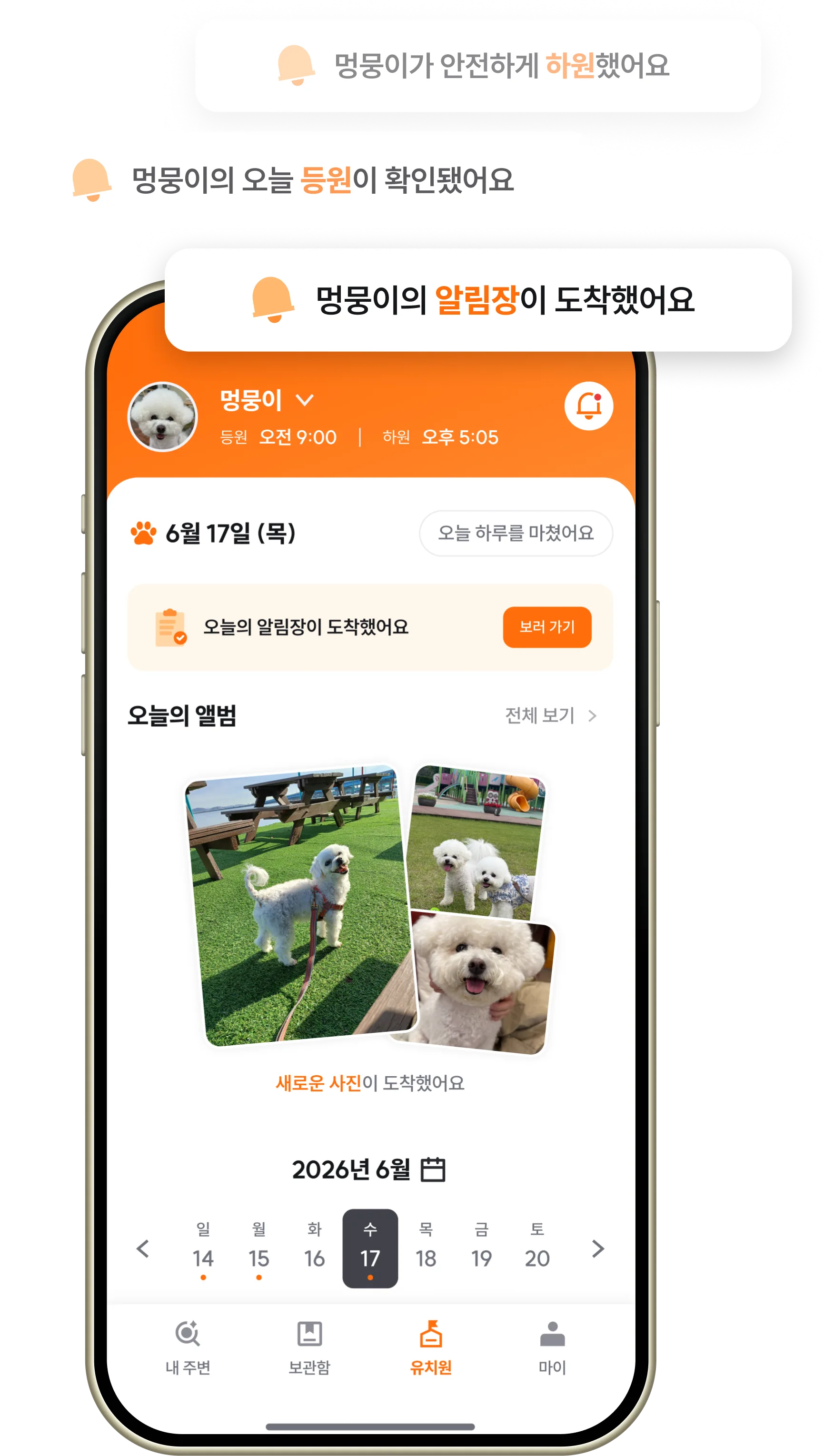 등하원 실시간 확인 화면