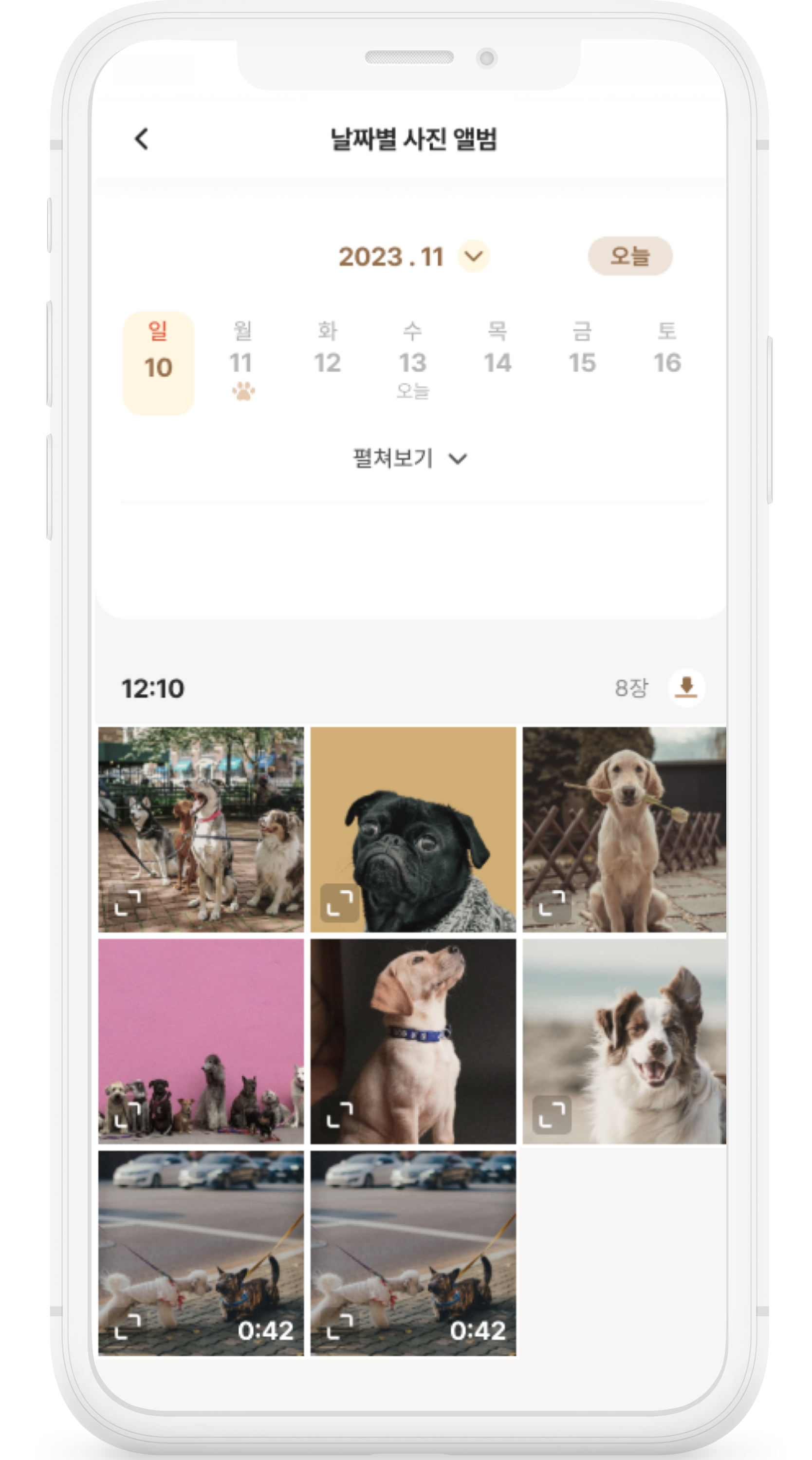 사진앨범_이미지