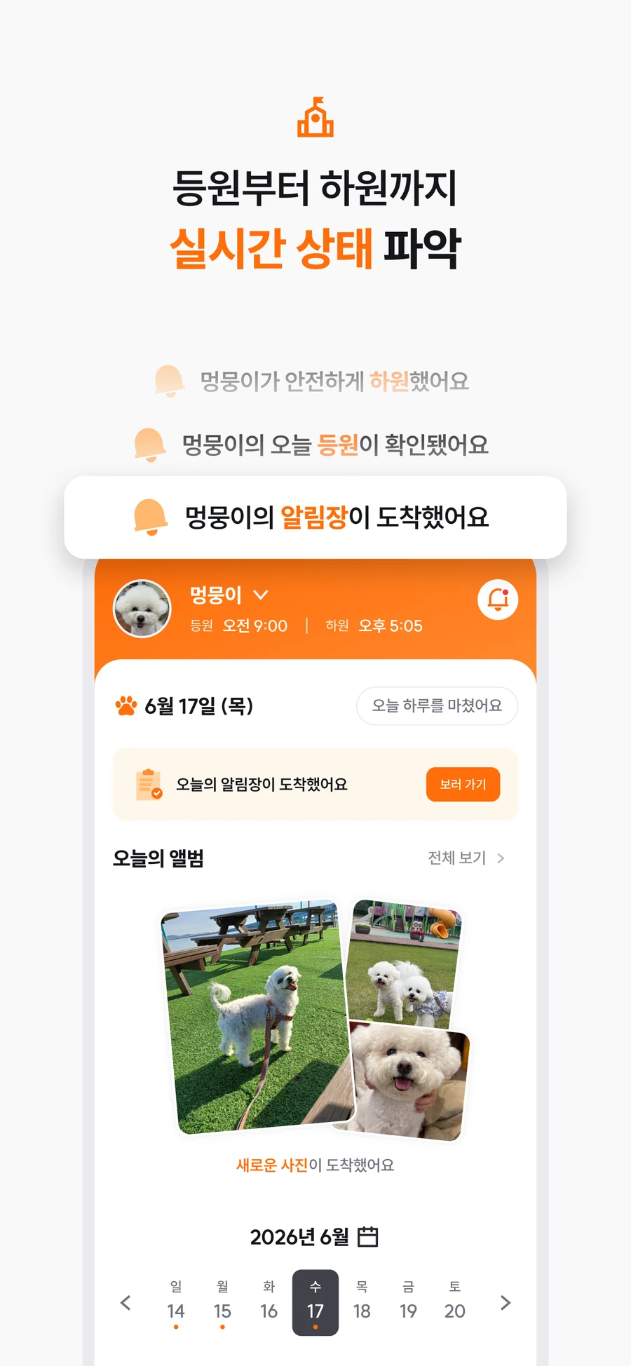 강아지의 실시간 등하원 상태와 알림을 확인하는 똑독 앱 화면
